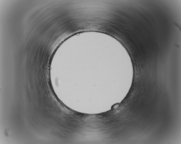 X0000103501093200810241119