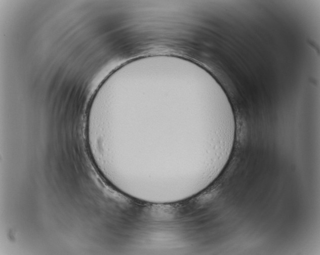 X0000103501094200810241119