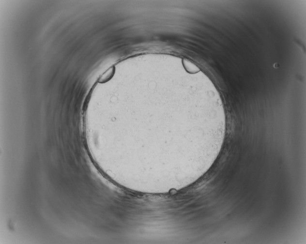 X0000103501095200810241119