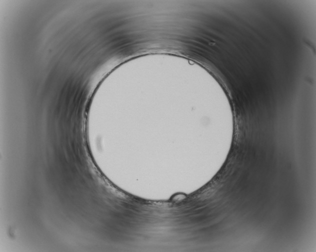 X0000103501096200810241119