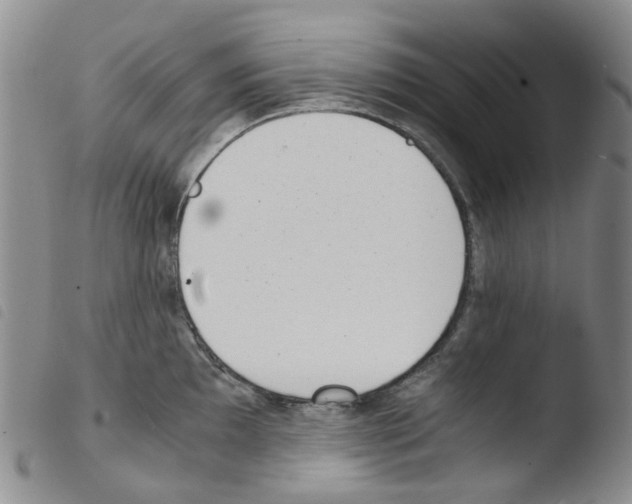 X0000103501097200810241119