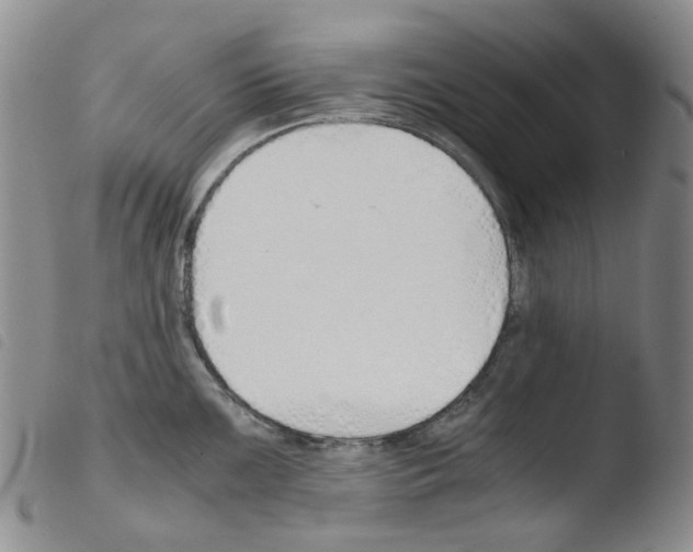 X0000103501099200810241119