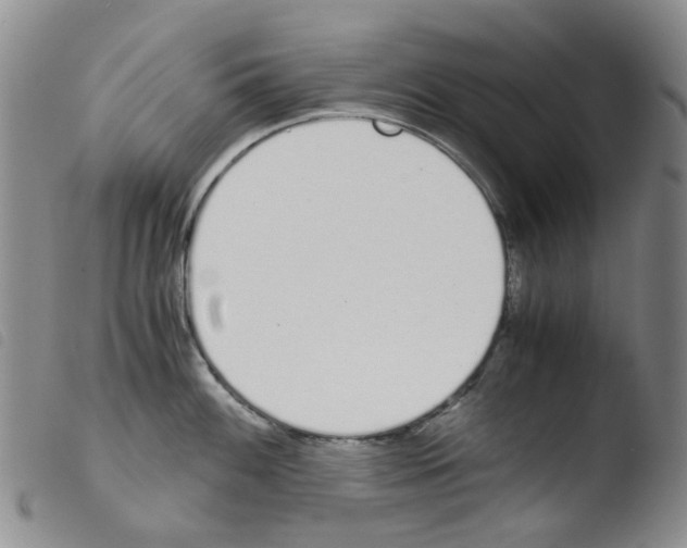 X0000103501100200810241119