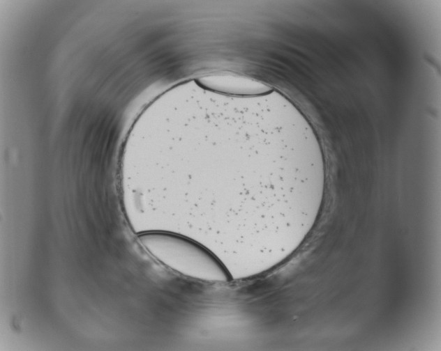 X0000103501104200810241119