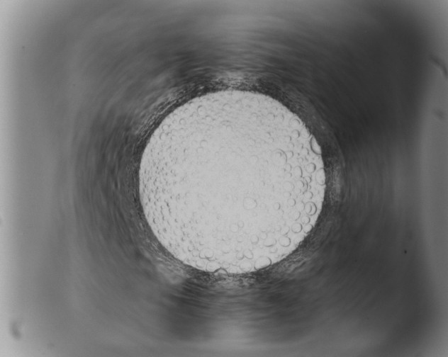 X0000103501105200810241118