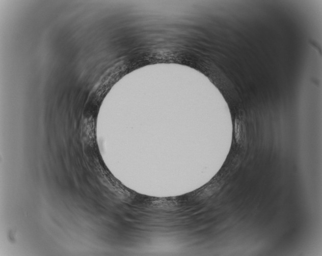 X0000103501107200810241118