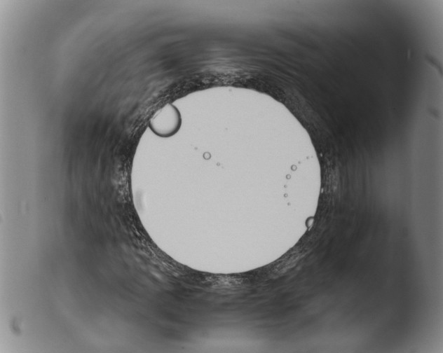 X0000103501109200810241118