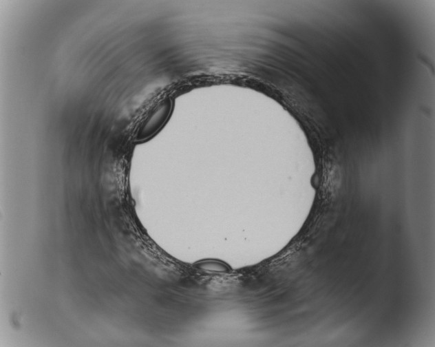 X0000103501110200810241118