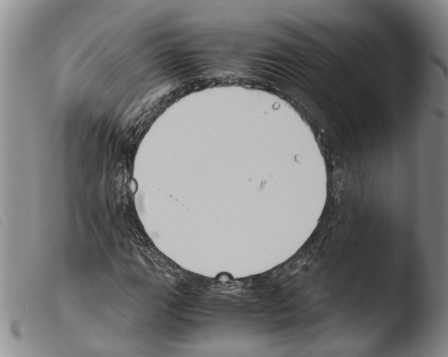 X0000103501111200810241118