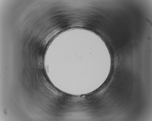 X0000103501113200810241118