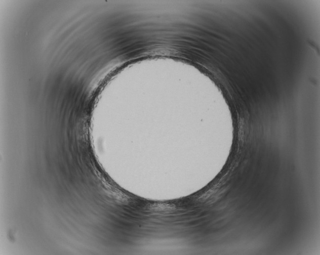 X0000103501115200810241118