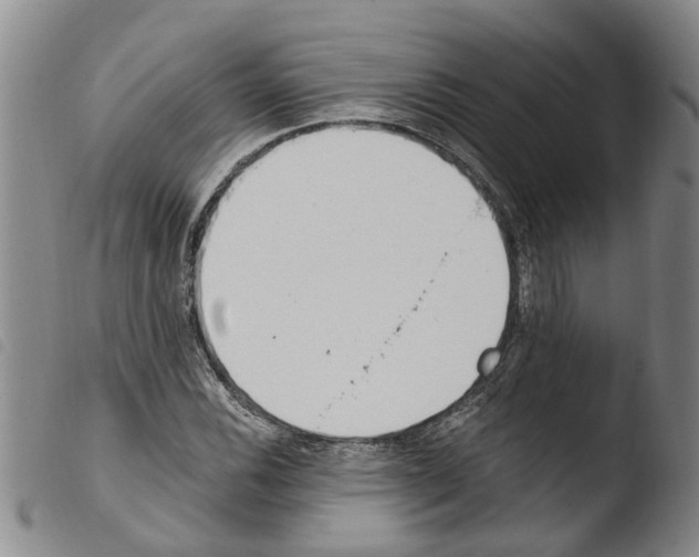 X0000103501116200810241118