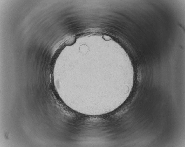 X0000103501117200810241118