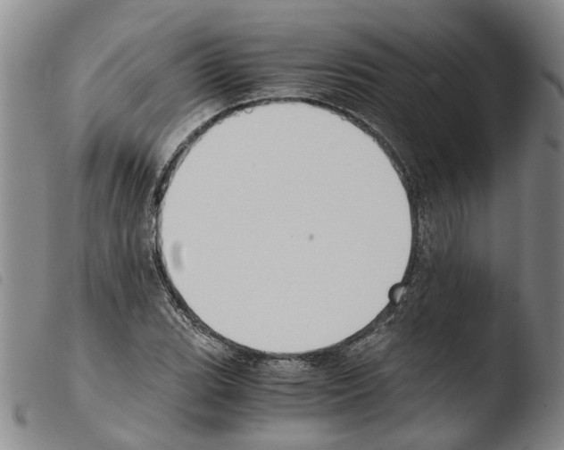 X0000103501119200810241118