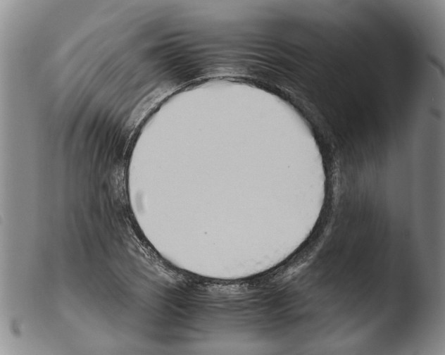 X0000103501121200810241118