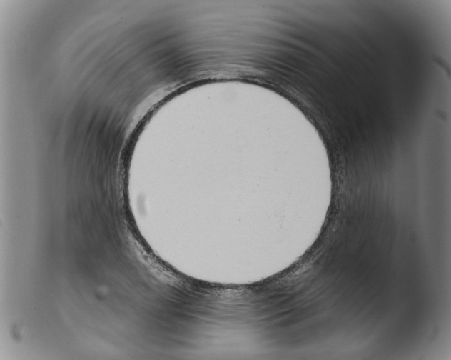 X0000103501122200810241118