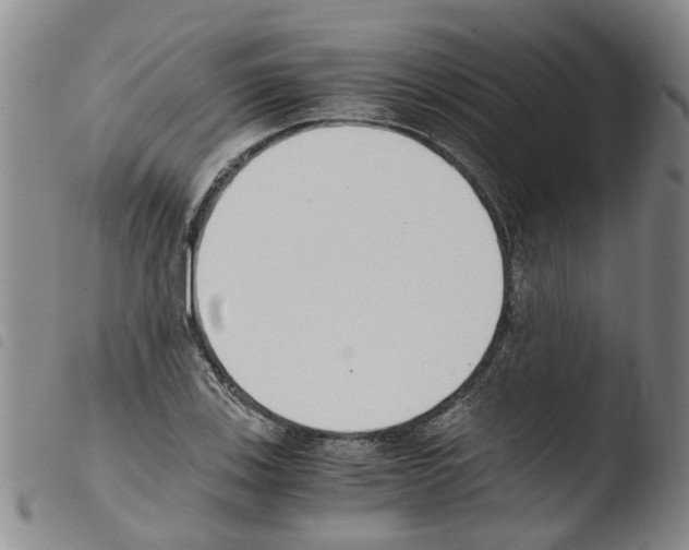 X0000103501123200810241118