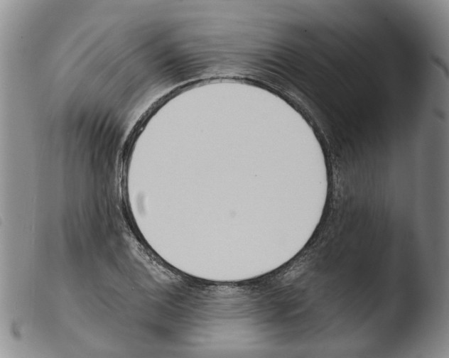 X0000103501124200810241118