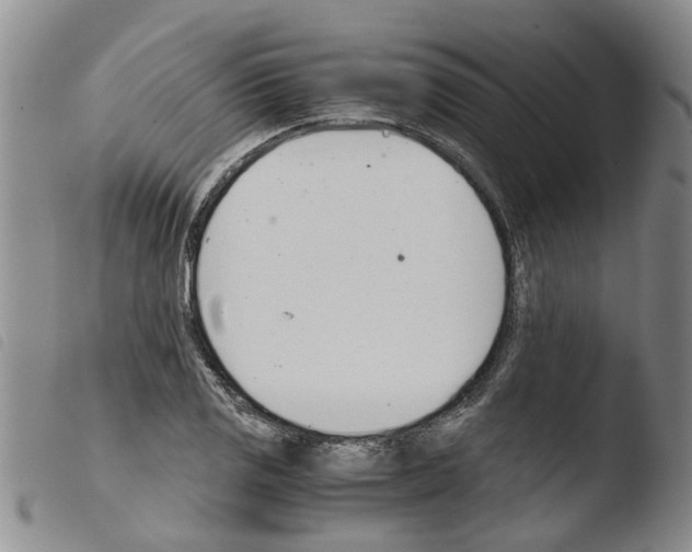 X0000103501125200810241118