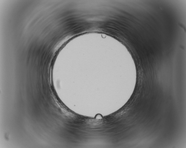 X0000103501127200810241119