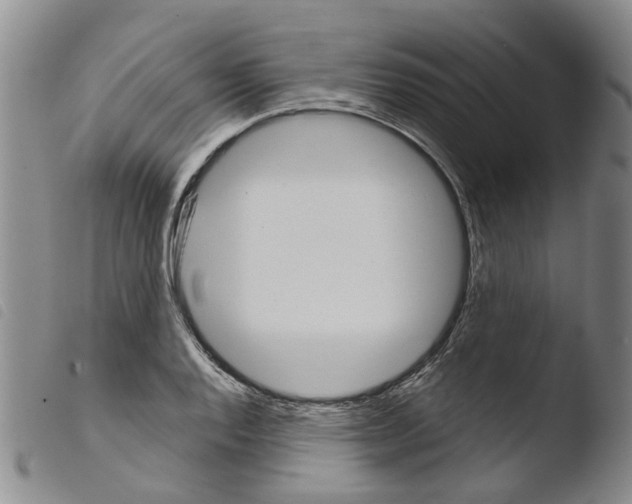 X0000103501128200810241119