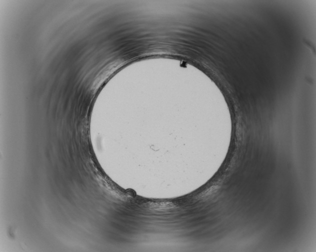 X0000103501129200810241119