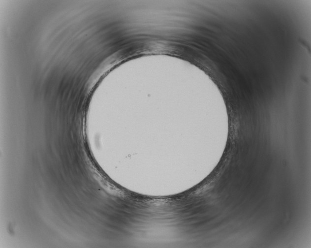 X0000103501130200810241119