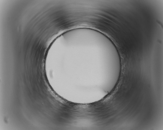 X0000103501134200810241119