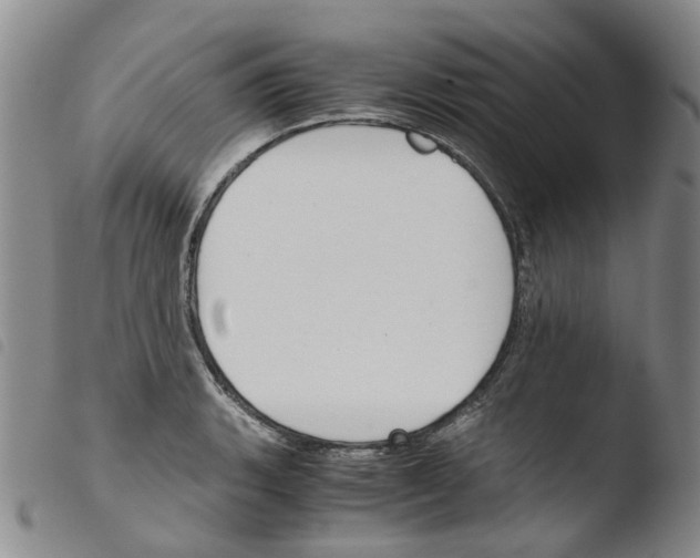 X0000103501135200810241119