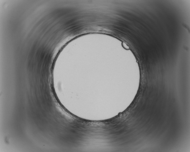 X0000103501136200810241119