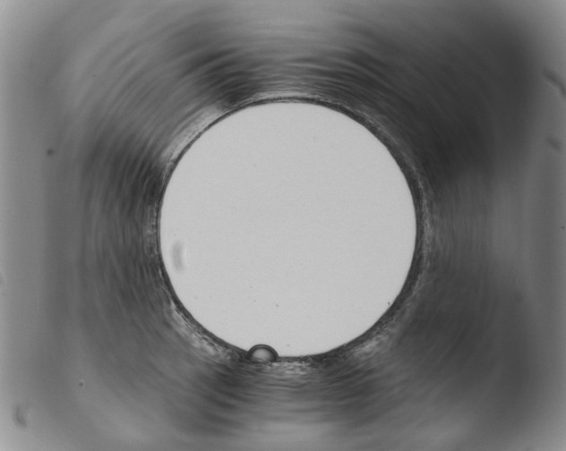 X0000103501137200810241119