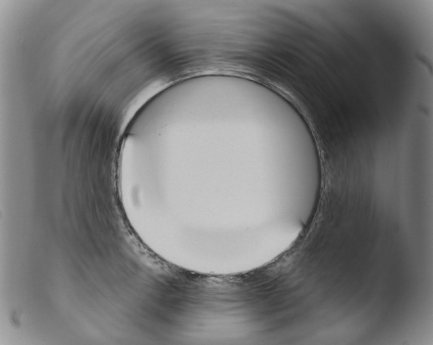 X0000103501138200810241119