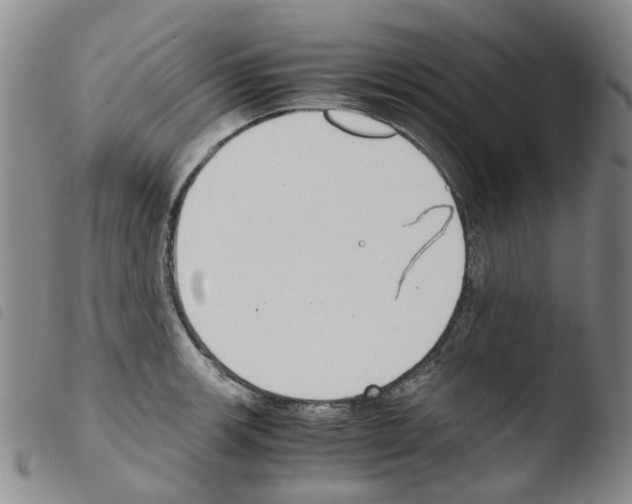 X0000103501139200810241119