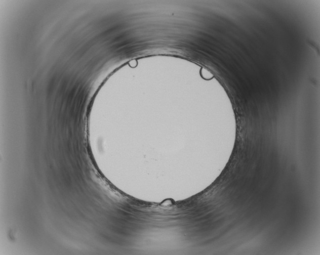 X0000103501140200810241119