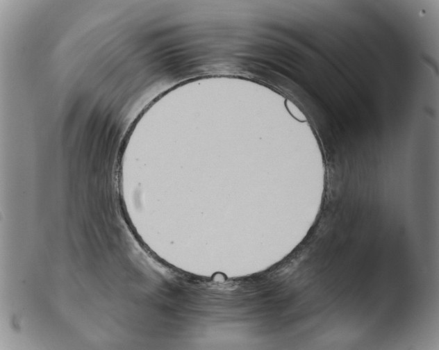 X0000103501141200810241119