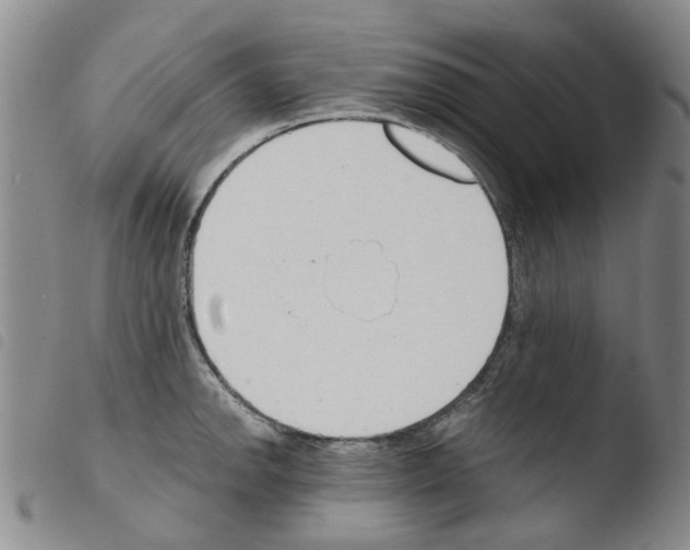 X0000103501142200810241119