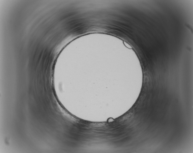 X0000103501143200810241119