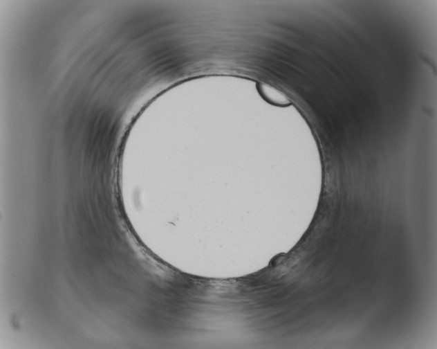 X0000103501144200810241119