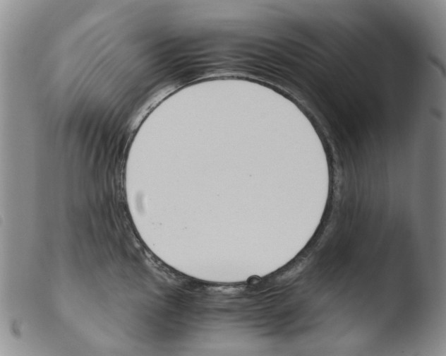 X0000103501145200810241119