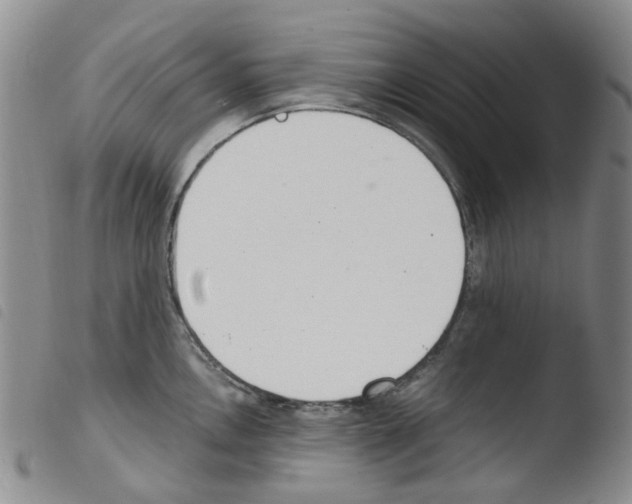 X0000103501146200810241119