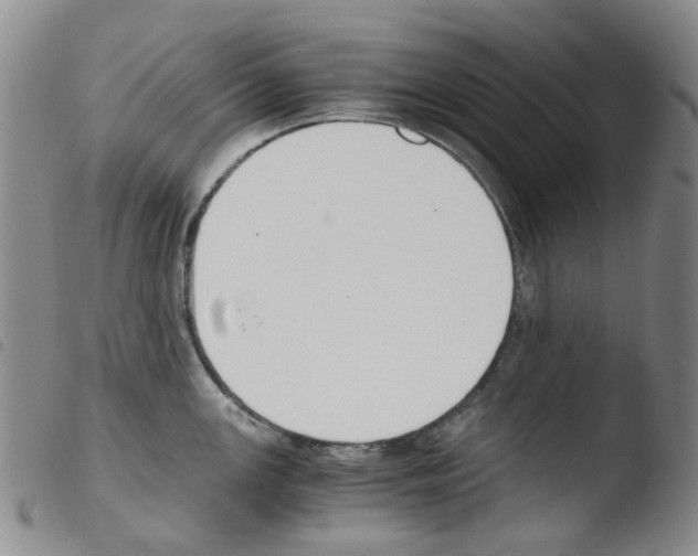 X0000103501147200810241119