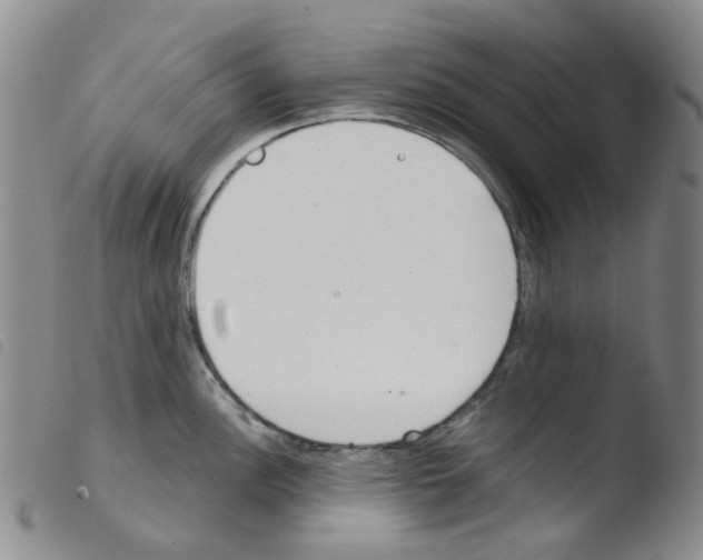 X0000103501148200810241119