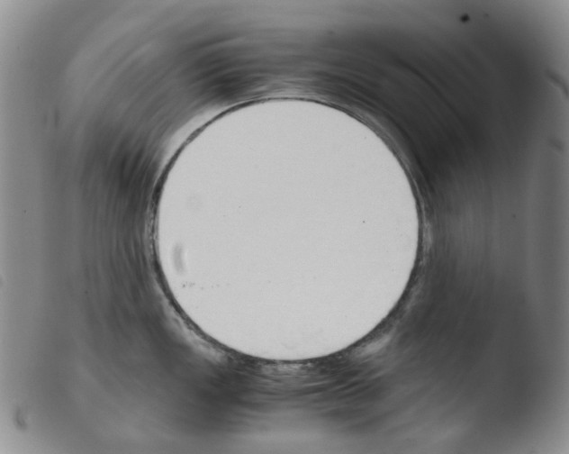 X0000103501149200810241119