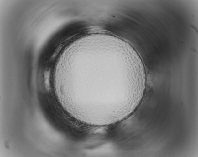 X0000103501150200810241119