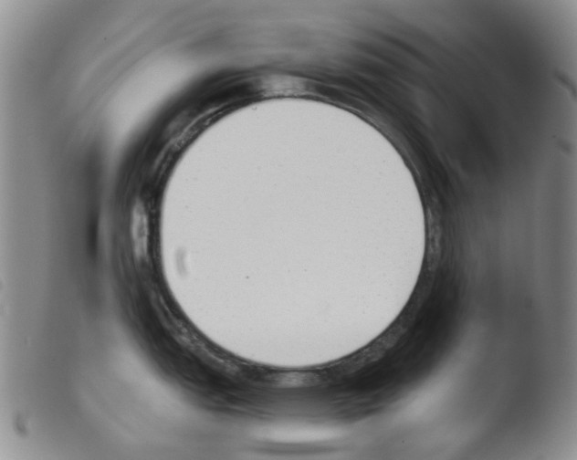 X0000103501151200810241119