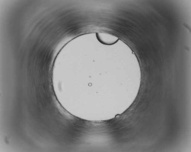 X0000103501152200810241119