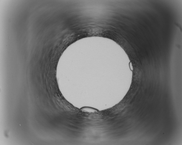 X0000103501153200810241118