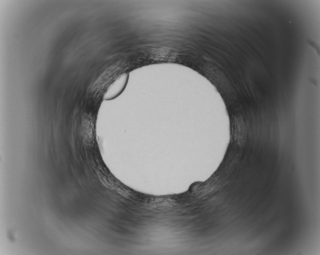 X0000103501154200810241118