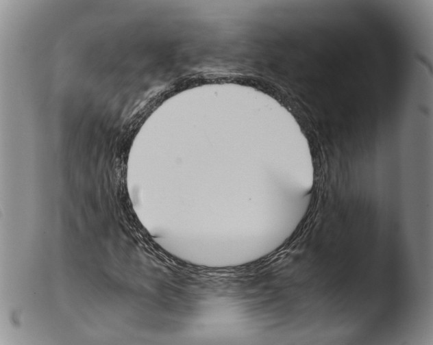 X0000103501157200810241118