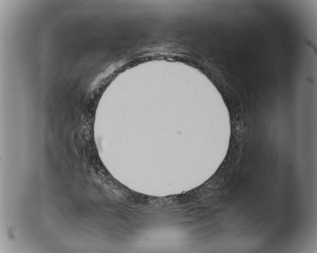 X0000103501159200810241118